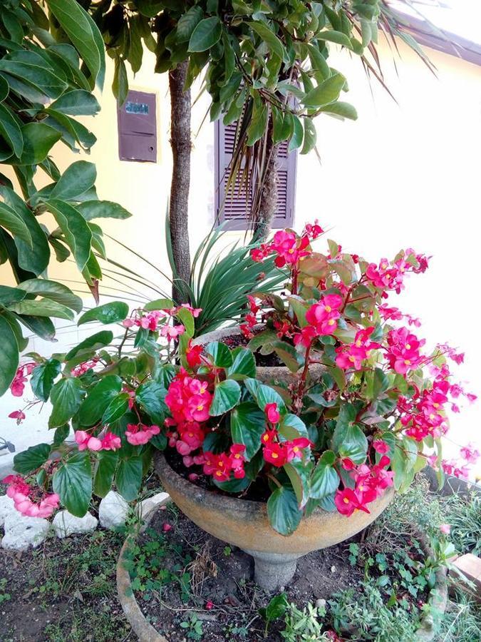 Beb Da Tina Bed & Breakfast Roccasecca Dış mekan fotoğraf